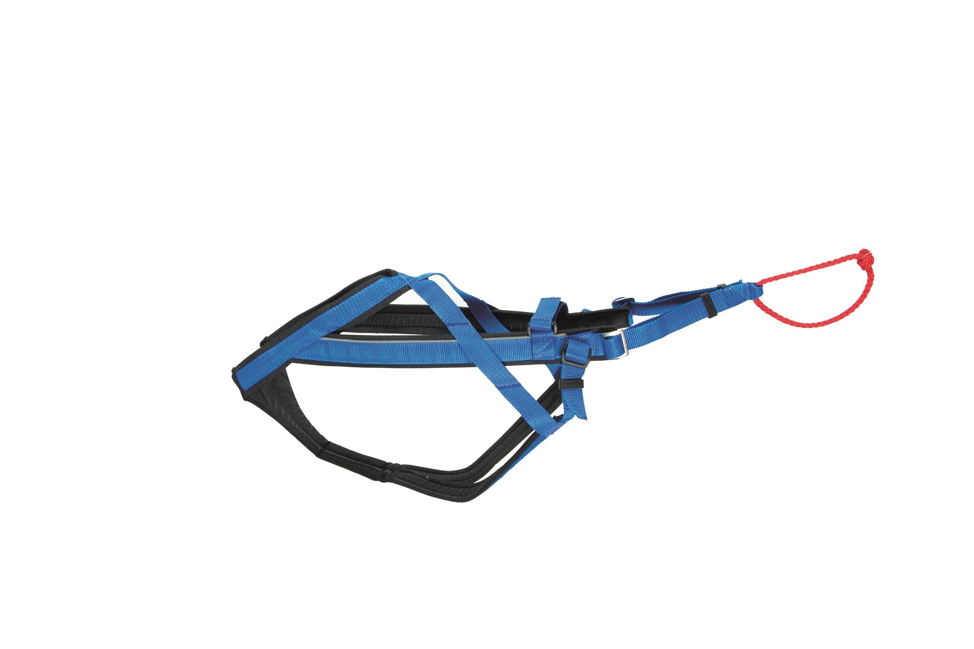 HARNESS REGOL RACING 0215