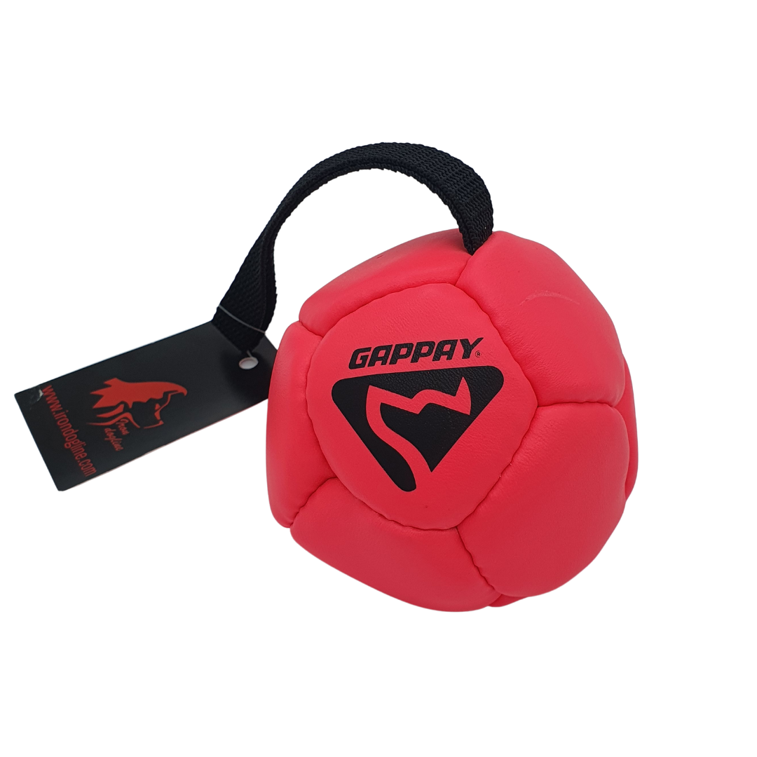 GAPPAY RUBBERIZED BALL