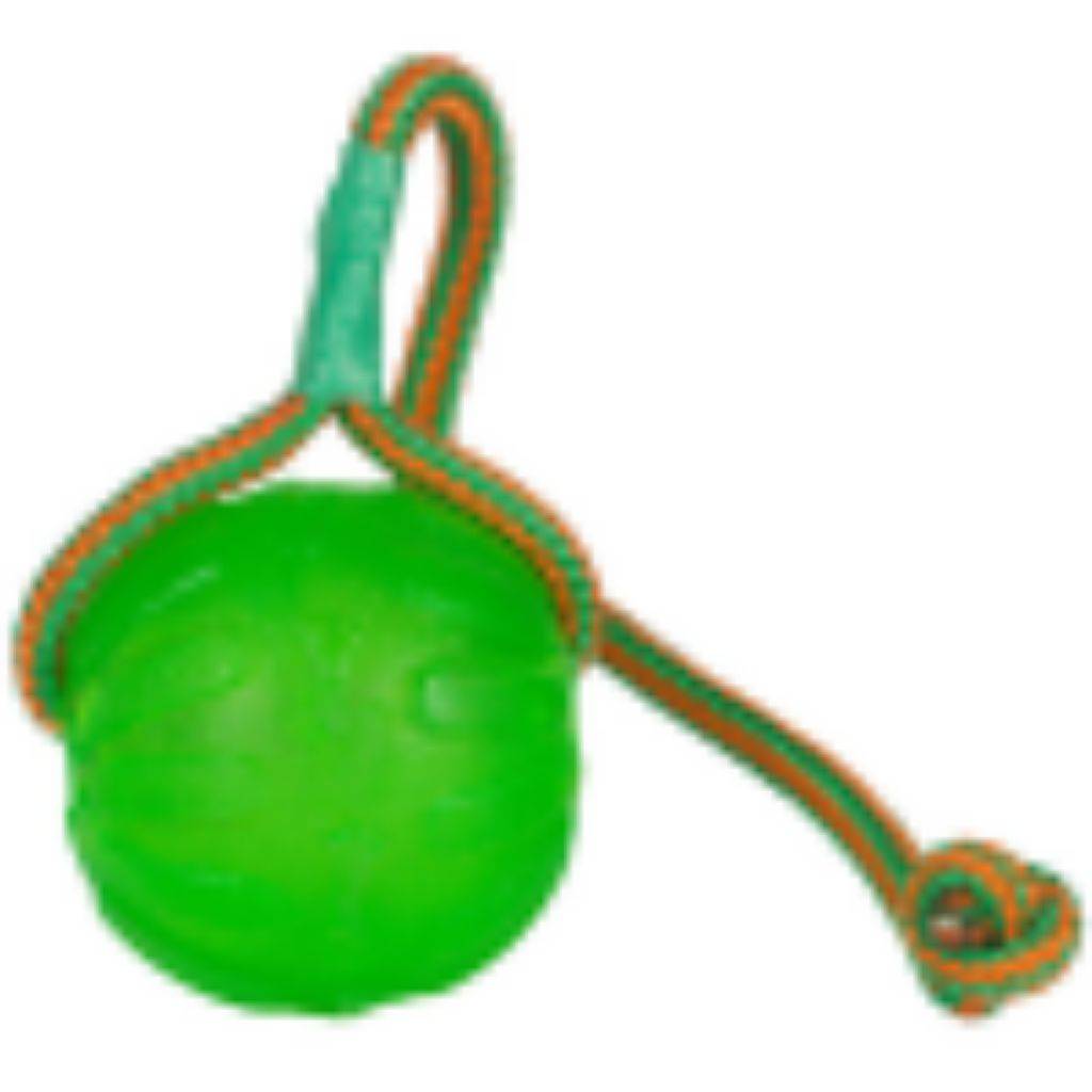 SWING N FLING CHEW BALL