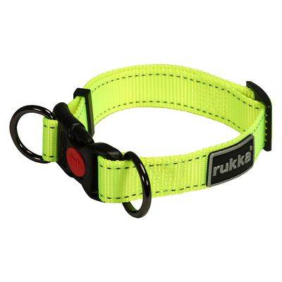 BLISS NEON ADJUSTABLE COLLAR 