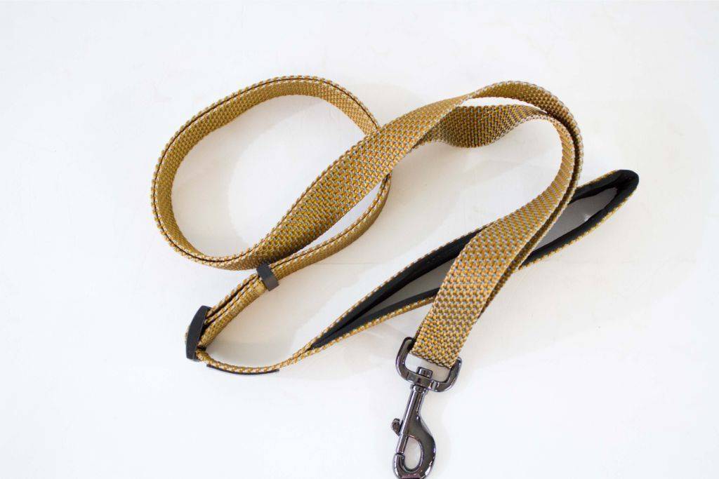 STAR LEASH