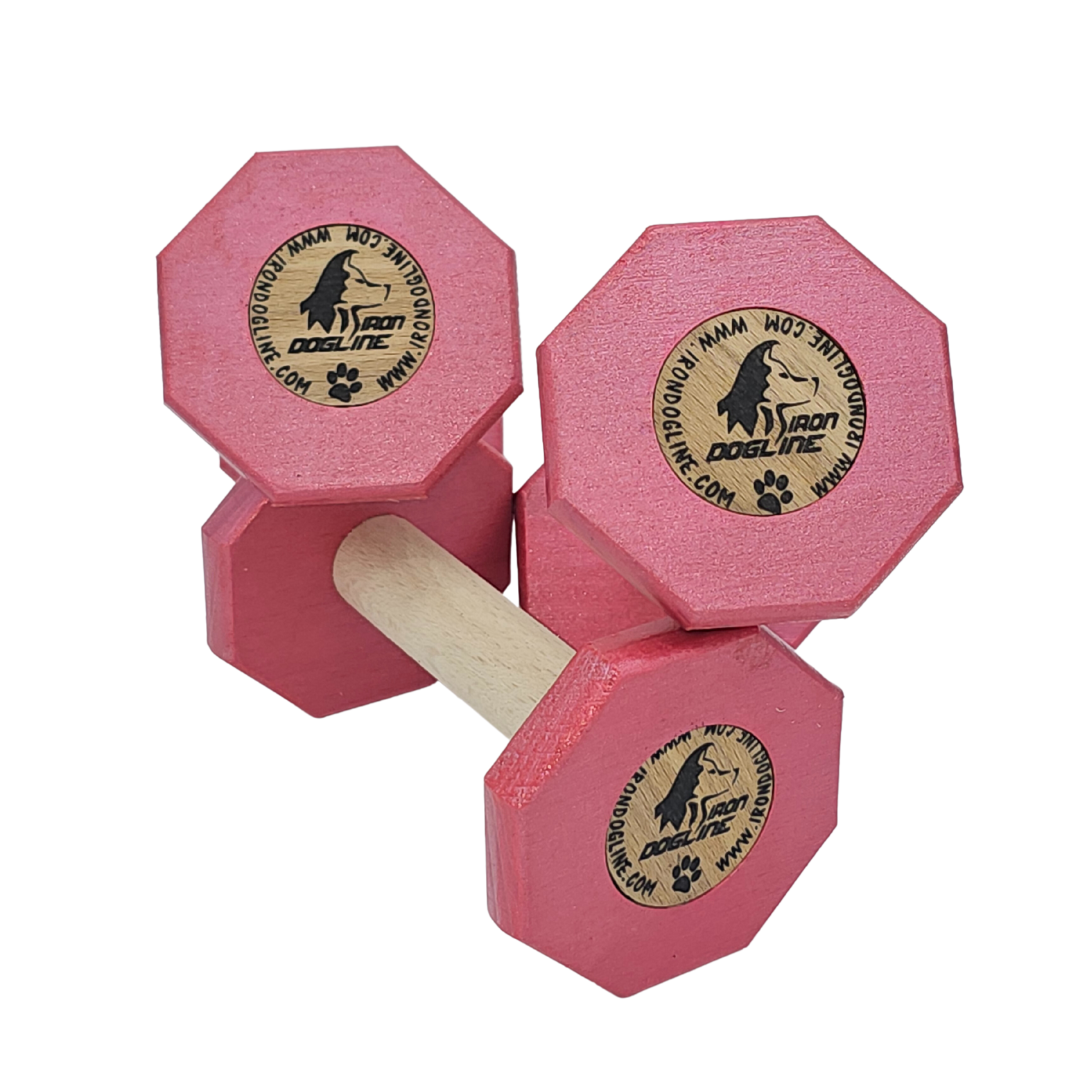 Obedience dumbbell