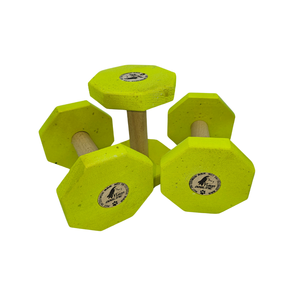 MULTICOLOR Dumbbell 