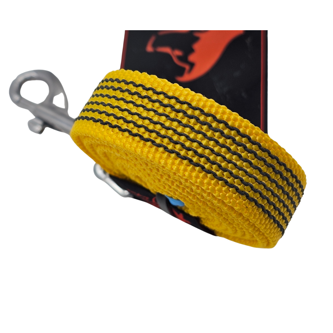 leash TRAINING EXTENSION