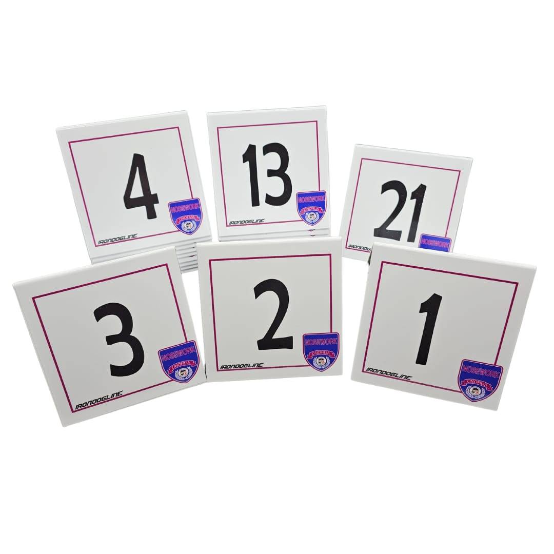 NOSEWORK NUMBERS KIT