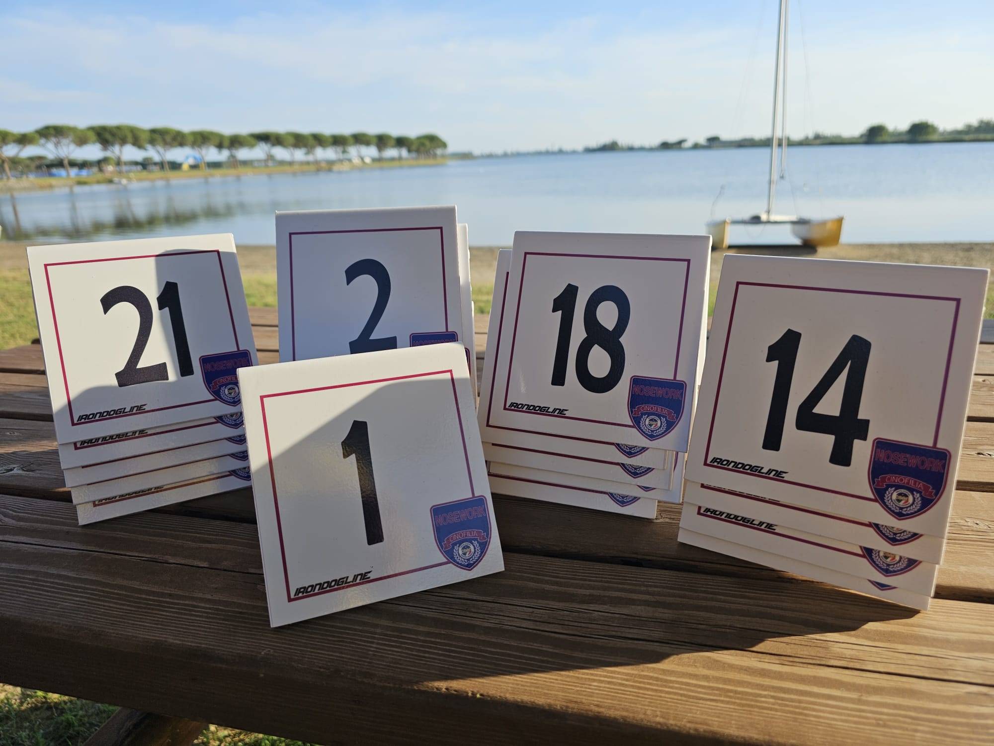 NOSEWORK NUMBERS KIT