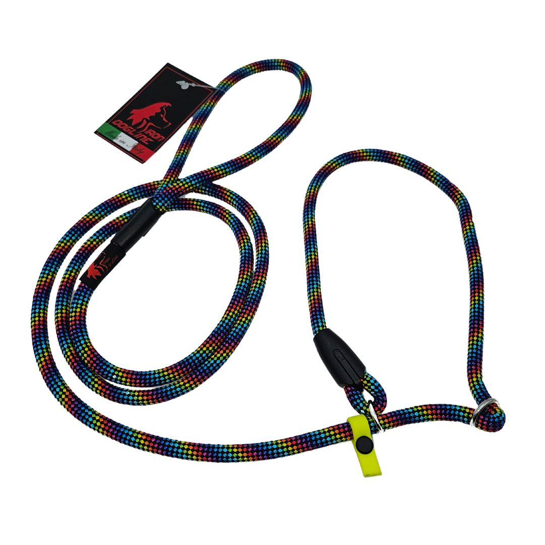 RETRIVER LEASH