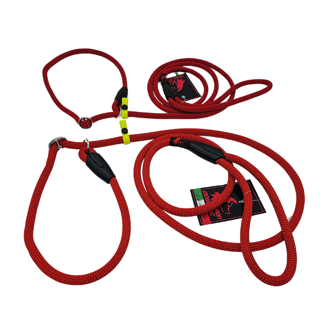 RETRIVER LEASH