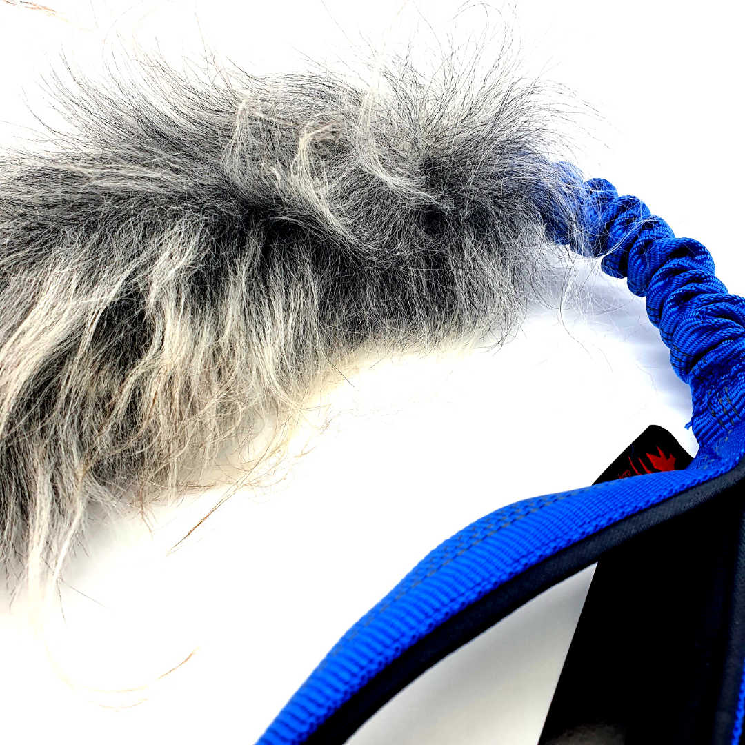 SHEEP BUNGEE  