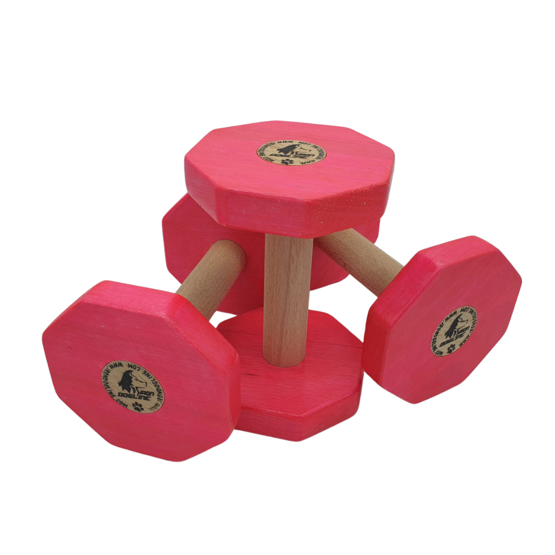 Obedience dumbbell
