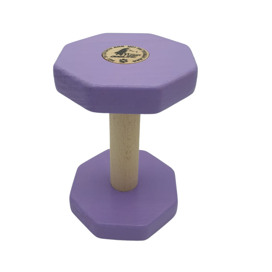 Obedience dumbbell