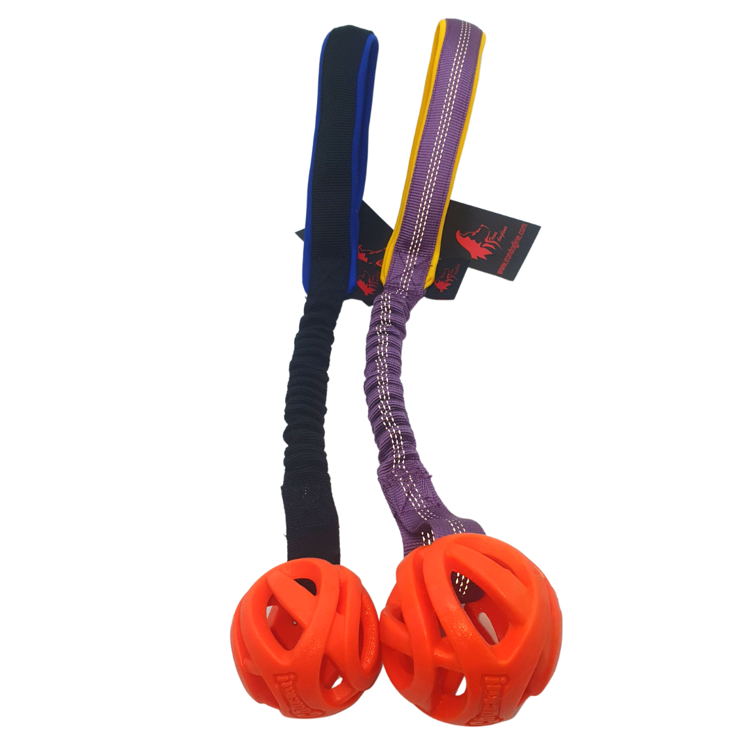 BUNGEE + PALLINA CHUCKIT TONDA 