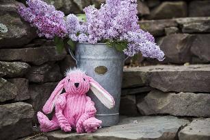 KNOTTIES CONIGLIO