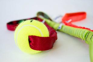 BUNGEE TENNIS