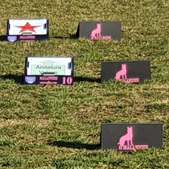 CUSTOMIZATION RALLY OBEDIENCE SIGNS HOLDER