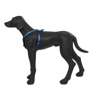 PROZONE SUPER HAENESS /PETTORINA SUPER