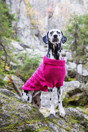 MAGLIONCINO RINFRANGENTE STARDUST KNITWEAR