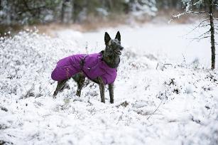 COLDZONE INSULATED JACKET