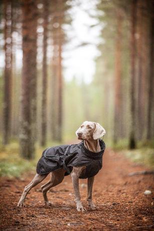 COLDZONE INSULATED JACKET