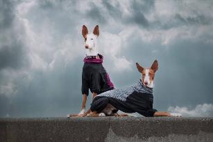 SUBRIMA TECHNICAL KNITFLEECE OVERALL TUTA TERMICA