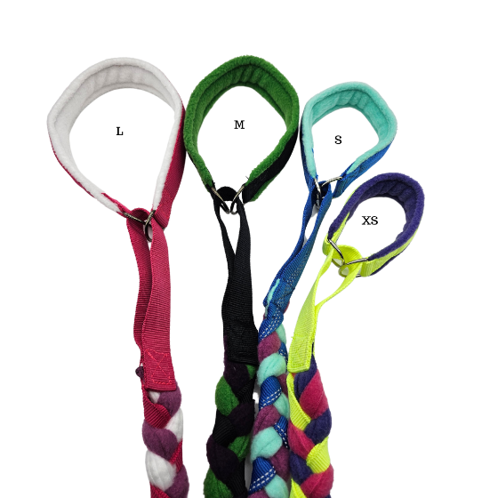 GUINZAGLIO TRECCIA PILE CON COLLARE