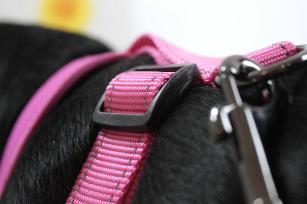 PETTORINA BIG CONFORT