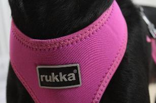 PETTORINA BIG CONFORT