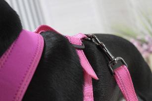 PETTORINA BIG CONFORT