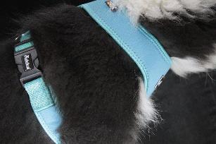 PETTORINA BIG CONFORT