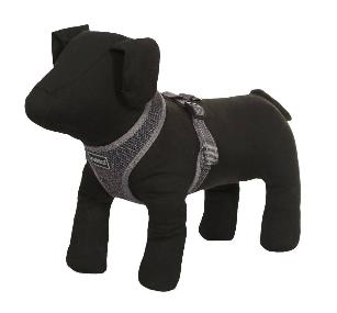 PETTORINA COMFORT AIR