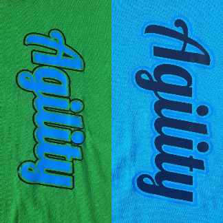 T SHIRT UOMO AGILITY