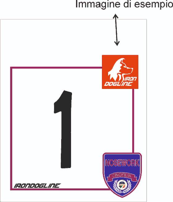 CUSTOMIZATION WITH LOGO NUMBERS NOSEWORK