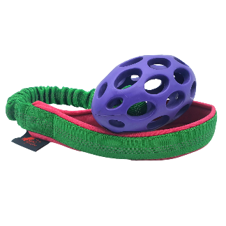 BUNGEE +PALLINA JW RUGBY  