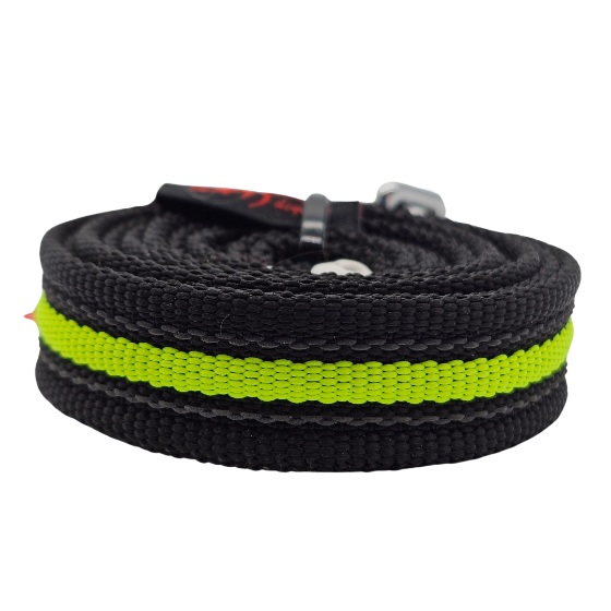 LUNGHINA ADDESTRAMENTO 