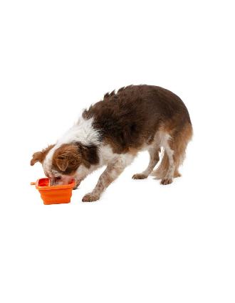 SILICONE FOLDING BOWL