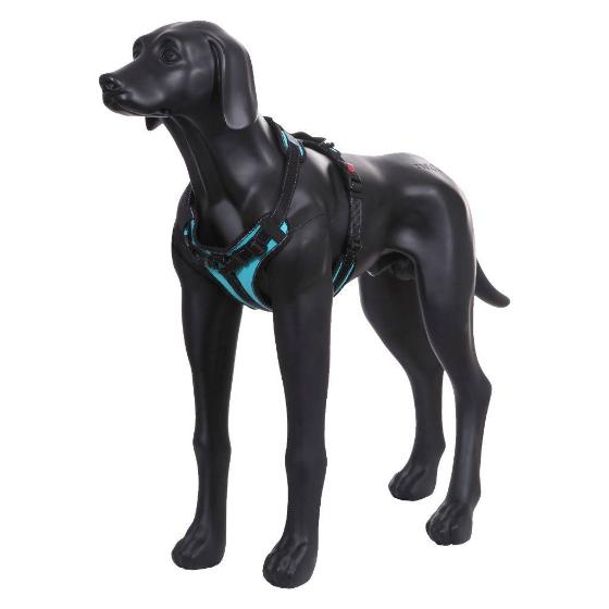 PETTORINA SOLID