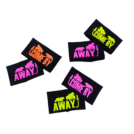 POLSINI COMANDI DI DIREZIONE