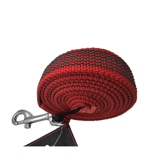 LUNGHINA ADDESTRAMENTO 