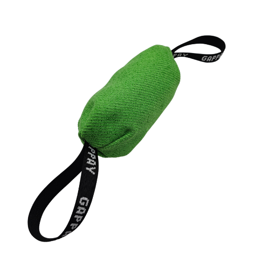 SALAMOTTO TELA FRANCESE RUGBY GAPPAY