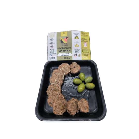 MANTENIMENTO WET CON OLIO