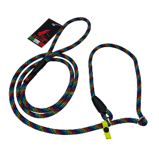 GUINZAGLIO RETRIVER