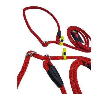 GUINZAGLIO RETRIVER