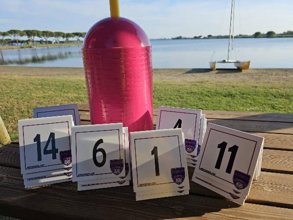 KIT NUMERI NOSEWORK