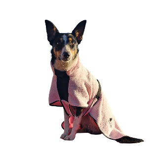 ACCAPPATOIO CANE